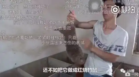  笑到泪奔竹鼠表情包窜上热搜吃它有一百种理由漂亮抑郁中暑