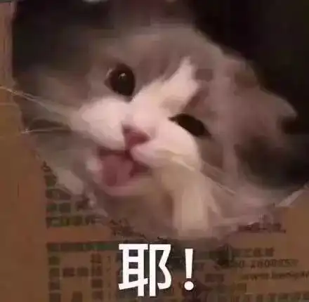 撒娇的表情包视频机会
