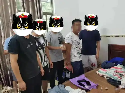  借打电话抢夺手机一男子被临高警方刑事拘留