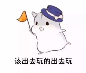  水上乐园年卡电影票会员卡动动你手指,还有神秘礼品拿