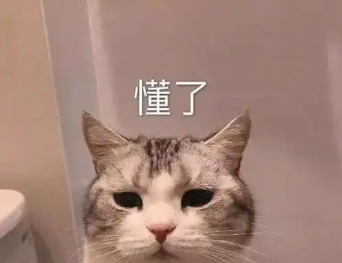  来,看看四川人干的好事