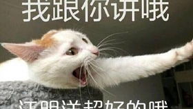  洋哥的早晨