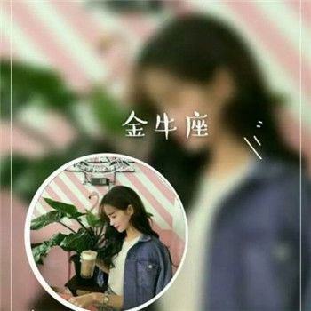 2018最火头像真人十二星