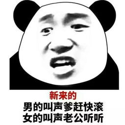  金馆长熊猫表情,qq表情包中的经典