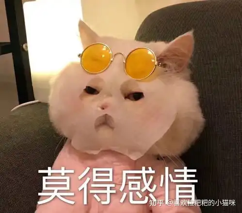 一只白猫旁边一个问号的