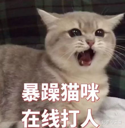  高中英语教师资格上岸记
