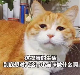  分分钟压垮成年人的童年阴影有哪些