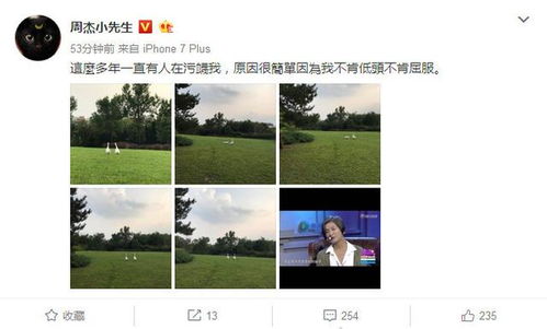  湖南卫视绝了汇聚周杰马景涛两大表情包,堪称截图党的春天