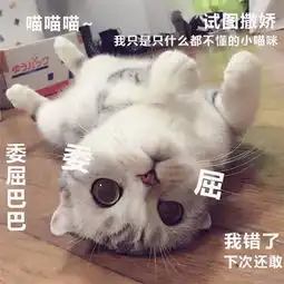 打滚表情包猫猫表情