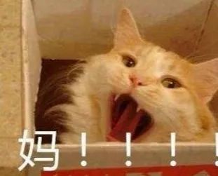 讨饭微信表情包搞笑动物