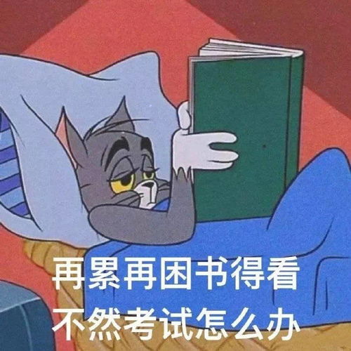  搞笑学习表情包一杯茶一道题,从早到晚搞学习