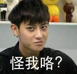  一堆表情包就吸粉无数就属黄子韬来呀互相伤害呀