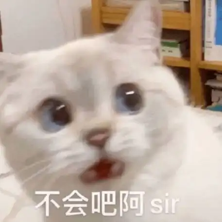  表情包今天我也是一只棒棒的小猫咪