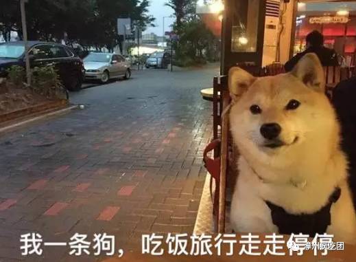  矮油厉害了漳州这位大男生说要为单身汪做甜品单身汪的春天逆袭