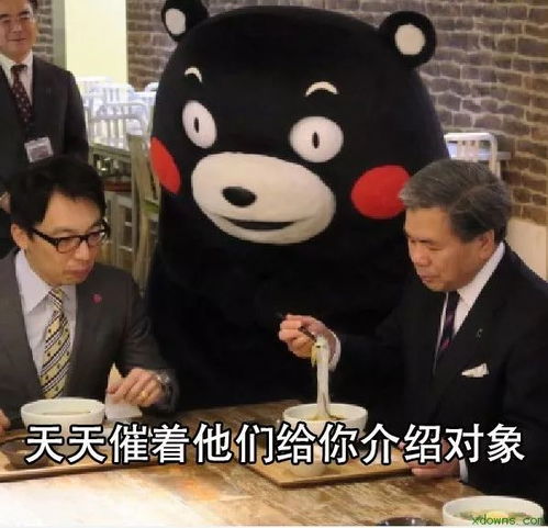  过年催婚魔鬼6式,自保手册在此