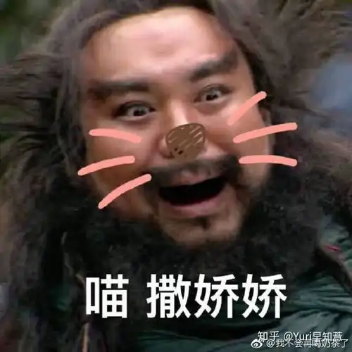  有适合肩宽女生的连衣裙推荐吗
