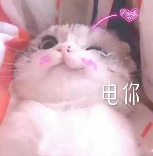  今天是小年,明天也是小年南北差异又来了