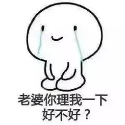  表情包老婆大人,我知道错了