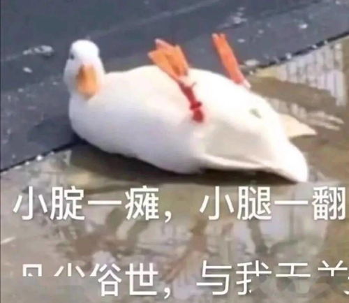  常德人,最新放假安排来了