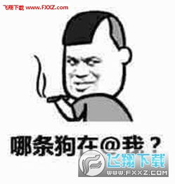  艾特一下丑逼表情包下载飞翔下载