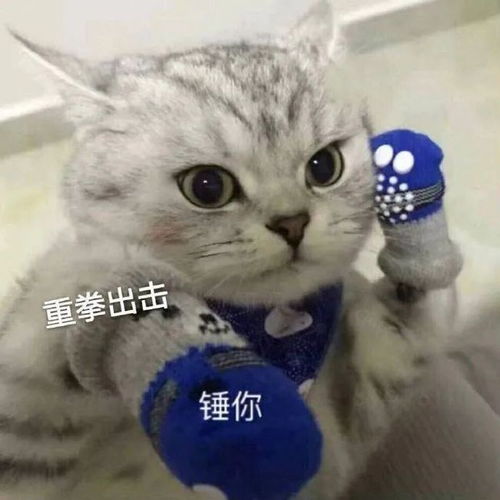  表情包丨奇怪的表情包增加了