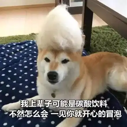  全网最大尺度情侣表情包,男票看完疯狂害羞心跳