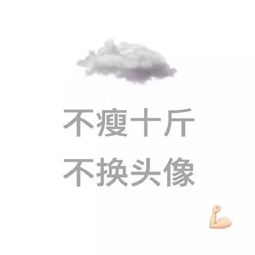  不瘦十斤,不换头像