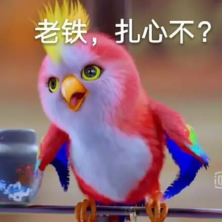  9.10哟,大爷您又来光顾兔兔啦