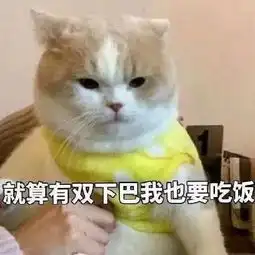  比大s更自律的狠人出现了我终于知道自己为什么那么胖