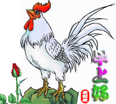 早早上好表情包动态图片