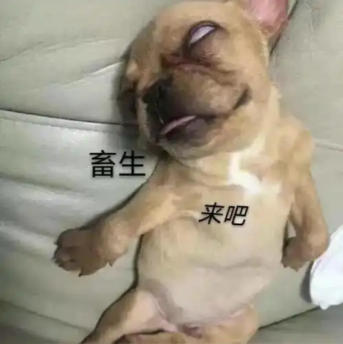 狗佛祖表情包