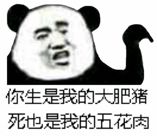  dc新片自杀小队2将于2021年8月6日北美上映,你有何期待