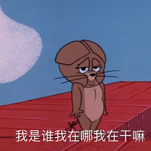  找固定吃鸡小哥哥啊