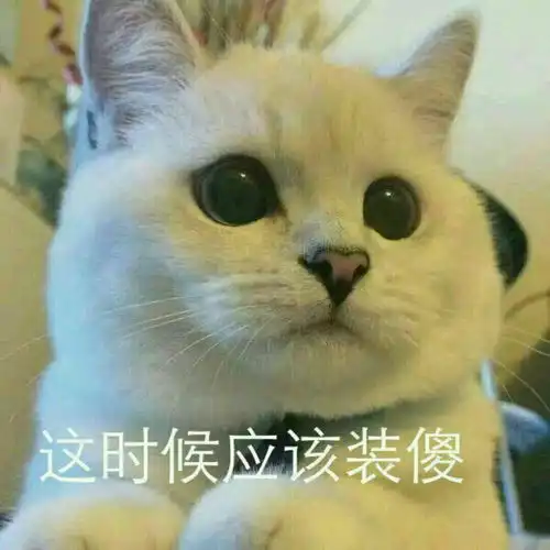 丧病大学