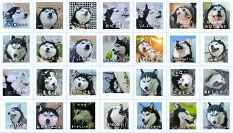  二哈恶搞qq表情包下载飞翔下载