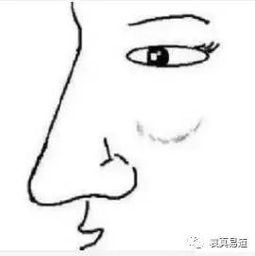  面相脸上这些地方凸起,子女非常孝顺,晚年享不完的福