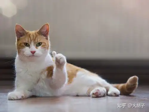  红酒是如何分类的