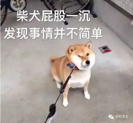  网红王二溪大坝虽好,可不要任性贪玩噢