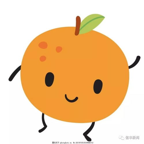  人信物丰好风光信丰脐橙出道即c位