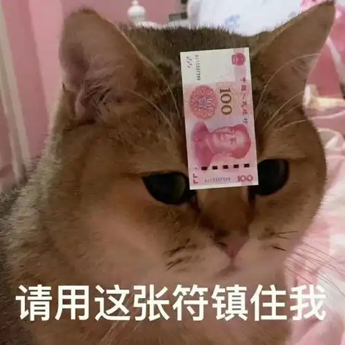  天冷了,晚上睡觉冻醒了别忘了给舍友掀一下被子
