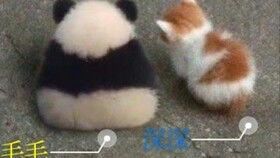  第一季发布会王迅篇