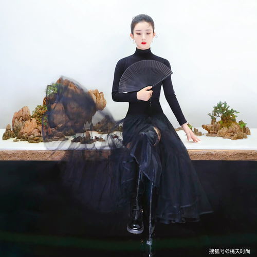  离婚后的赵丽颖,携手写意国风拍大片网友美出天际