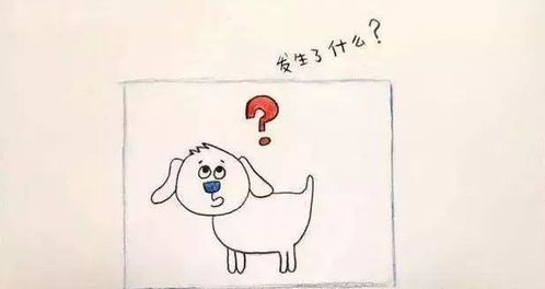  孩子总说我不行我做不到,怎么破