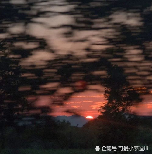  特别现实的文案