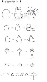  龙猫龙猫
