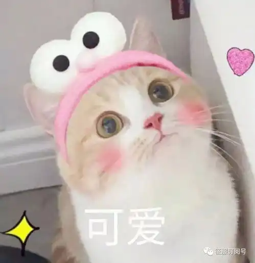  寻首届征服锦鲤火热进行中,独宠一人送全部黄色稀有神纹啦更有双旦答题活动趣味来袭