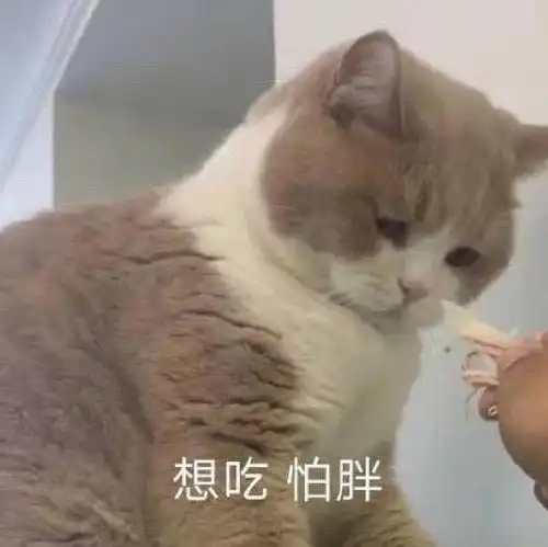 想看的书