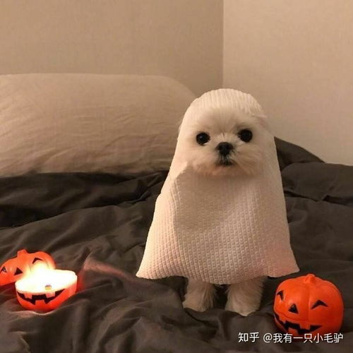  婚纱照应不应该发朋友圈