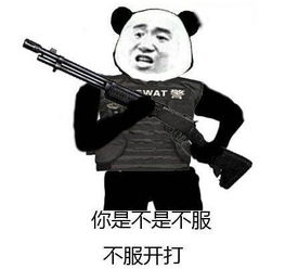  新闻哥您一把年纪了,还真豁的出去