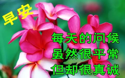  微信日常问候早安祝福动态表情包祝福朋友早上好动态图片